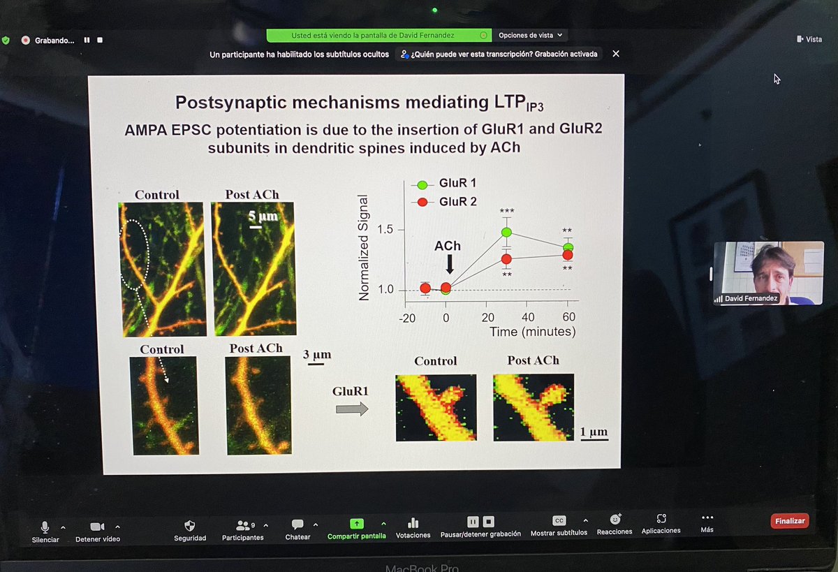 Marco Fuenzalida tweet media