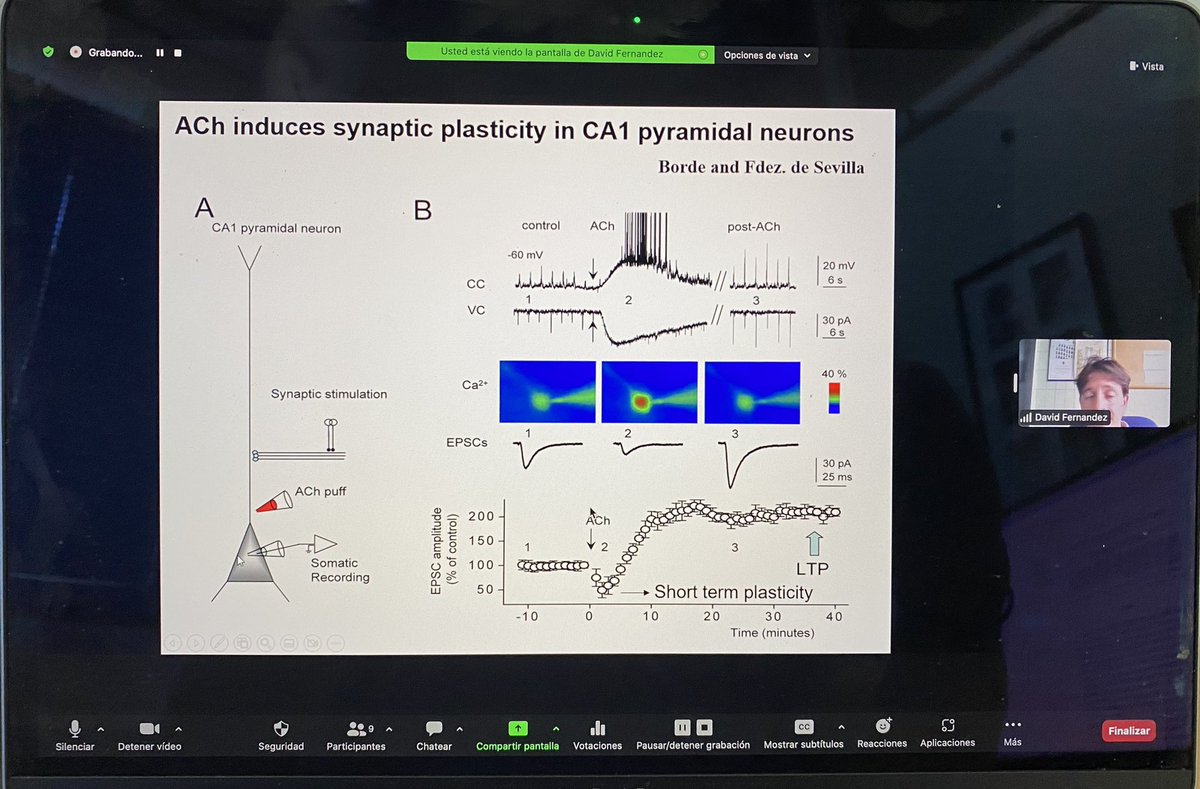 Marco Fuenzalida tweet media