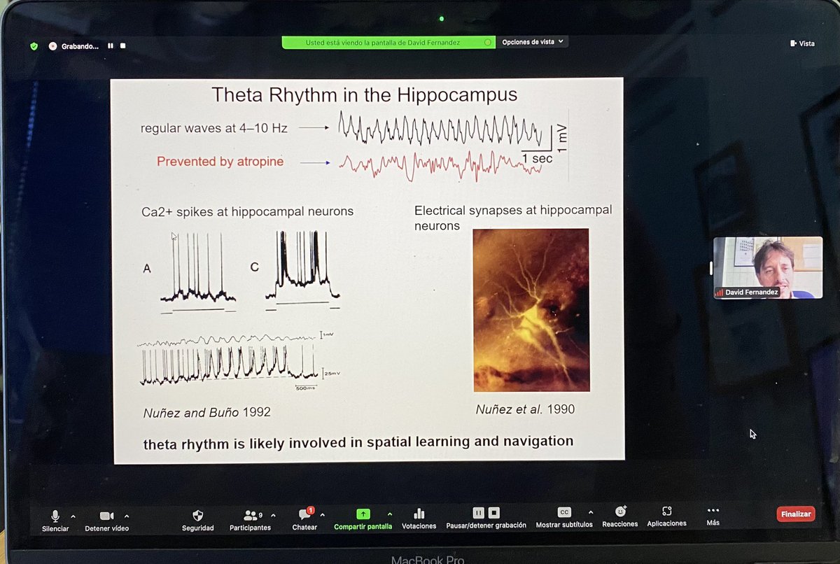 Marco Fuenzalida tweet media