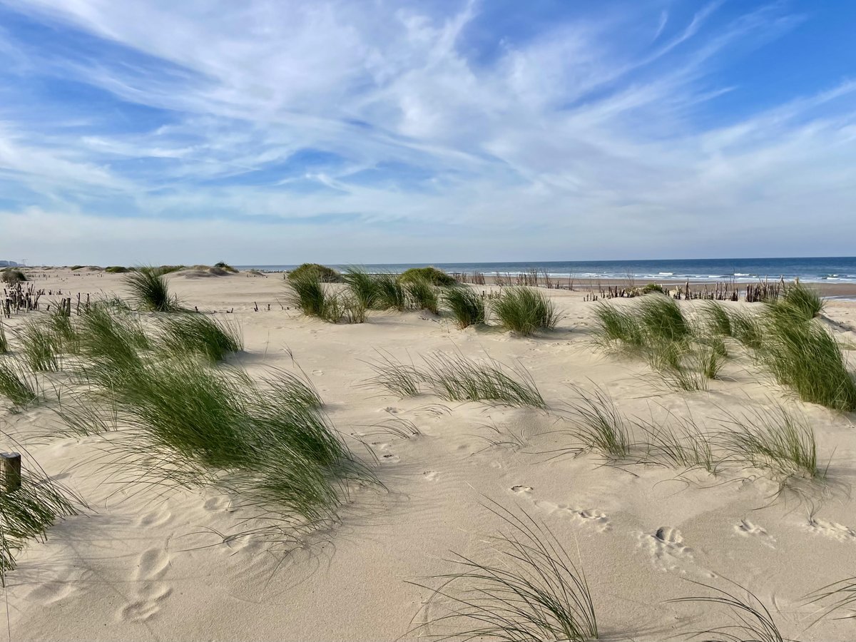 "Dunes are an important part of coastal protection. Are we going to give them a chance to grow?" ~ How nice that research from @Viveshogeschool for <a href="/SARCCeu/">Sustainable And Resilient Coastal Cities | SARCC</a> about dunes was mentioned in the coastal magazine of De Panne! #nbs 🌊