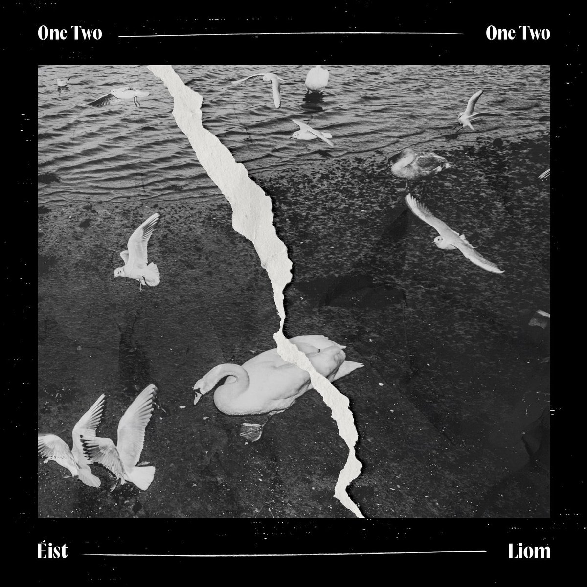 One Two One Two (@onetwoonetwo__) on Twitter photo NEW ALBUM! Éist liom (listen to me) is available now on Bandcamp!
Get yourself a digital or physical copy for €15
🎶🚨🚨
Album supported by <a href="/artscouncil_ie/">The Arts Council / An Chomhairle Ealaíon</a>
weareonetwoonetwo.bandcamp.com/album/ist-liom NEW ALBUM! Éist liom (listen to me) is available now on Bandcamp!
Get yourself a digital or physical copy for €15
🎶🚨🚨
Album supported by <a href="/artscouncil_ie/">The Arts Council / An Chomhairle Ealaíon</a>
weareonetwoonetwo.bandcamp.com/album/ist-liom