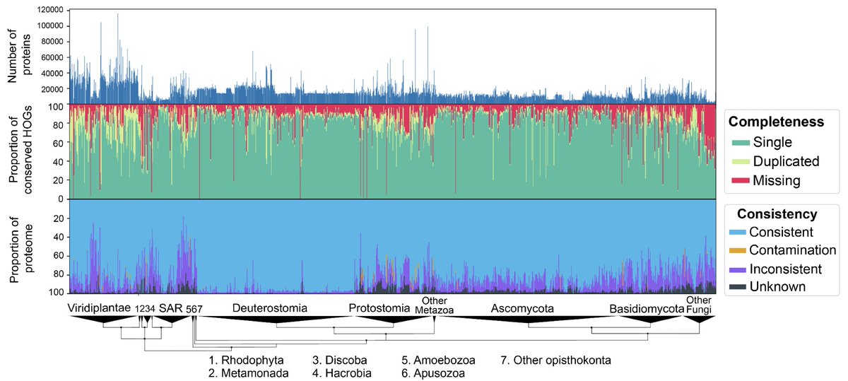 Genome annotation quality affects so many things we do. Our brilliant Yannis Nevers <a href="/Why_NeverS/">Yannis Nevers</a> devised a tool to assess proteomes—quick and easy. It reports not only *missing* but also *dubious* content!

Blog post: lab.dessimoz.org/blog/2022/12/1…
Preprint: doi.org/10.1101/2022.1…