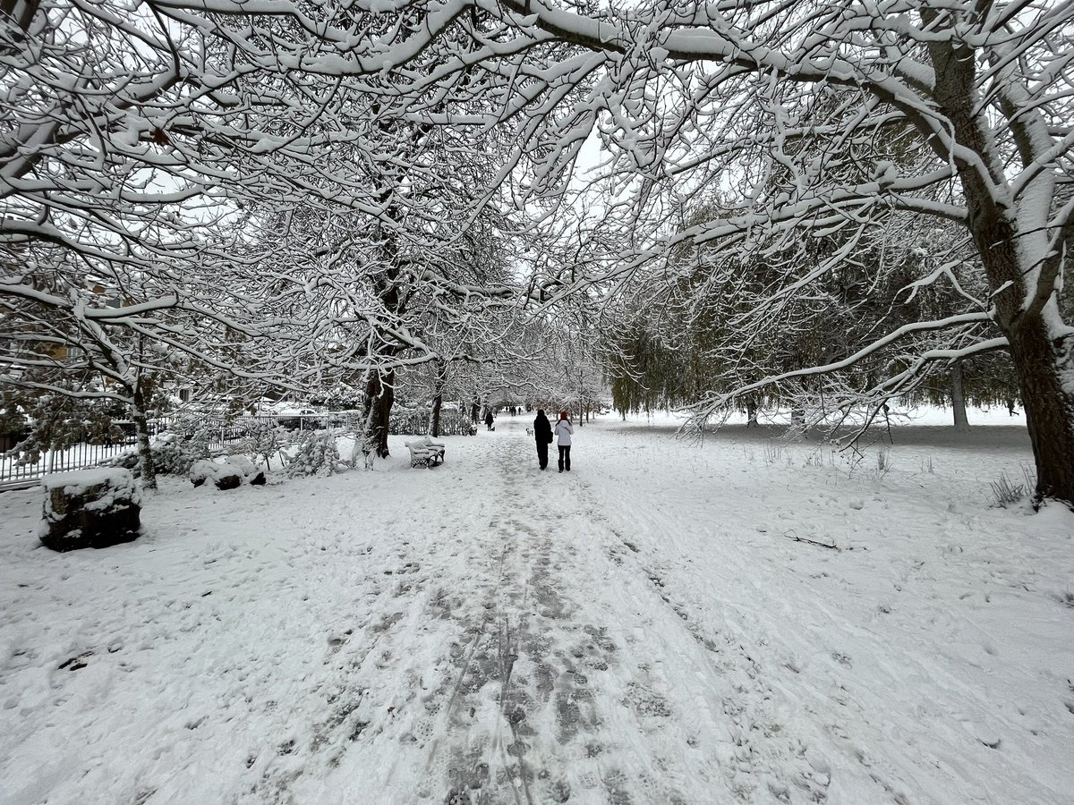 Clissold Park winter wonderland
