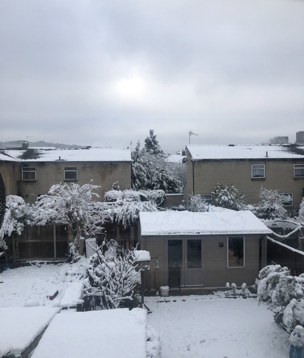 gvkmoon's tweet photo. it’s my first time waking up to snow and it’s so so pretty 🤍❄️ https://t.co/qB44WzDJ8d