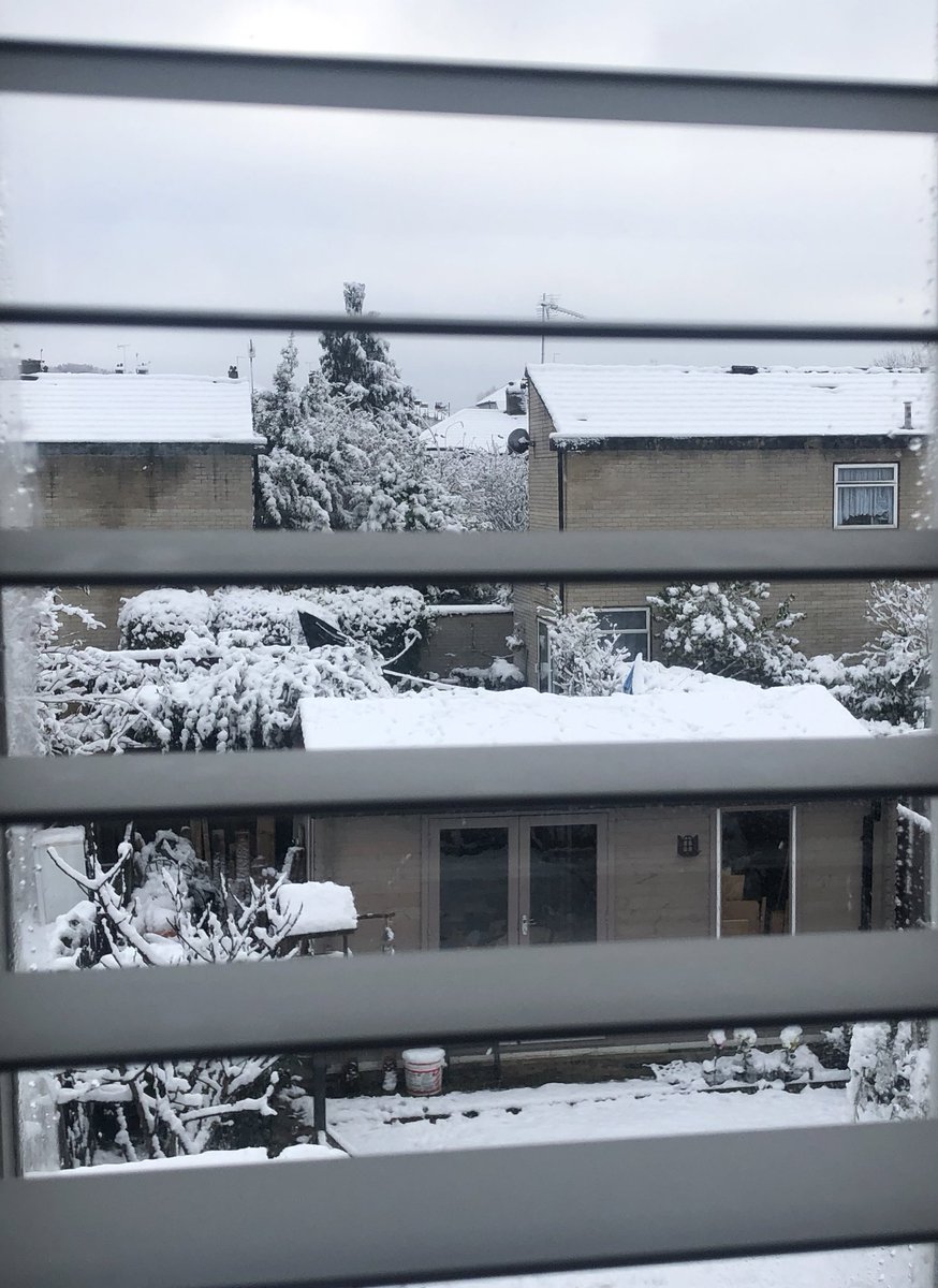 gvkmoon's tweet photo. it’s my first time waking up to snow and it’s so so pretty 🤍❄️ https://t.co/qB44WzDJ8d