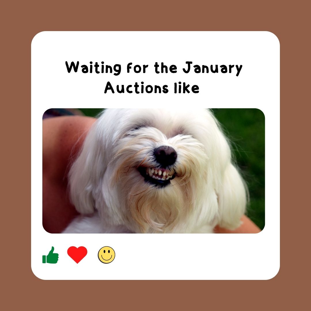 MyauctionsJp's tweet photo. We are all excited for our upcoming auction like! 👍❤️🙂

➖➖➖
#myauctions #myauctionsjapan #onlineauction #auctioneer #auctiontools #auctionhouse #auctionsoftware #conductauction #createyourauction #auction #auctionAPI #japanpawn #pawnbroker https://t.co/o2rnlmEUxz