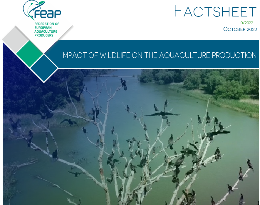 feapinfo's tweet photo. What is the impact of #wildlife on #aquaculture? How can data, tools, management be improved? Read more about this important challenge shared by aquaculture producers accross Europe + our proposals for action in our latest #FEAPFactsheet. https://t.co/4USx9X0fAV
#BlueFarms https://t.co/ustK7Vx105
