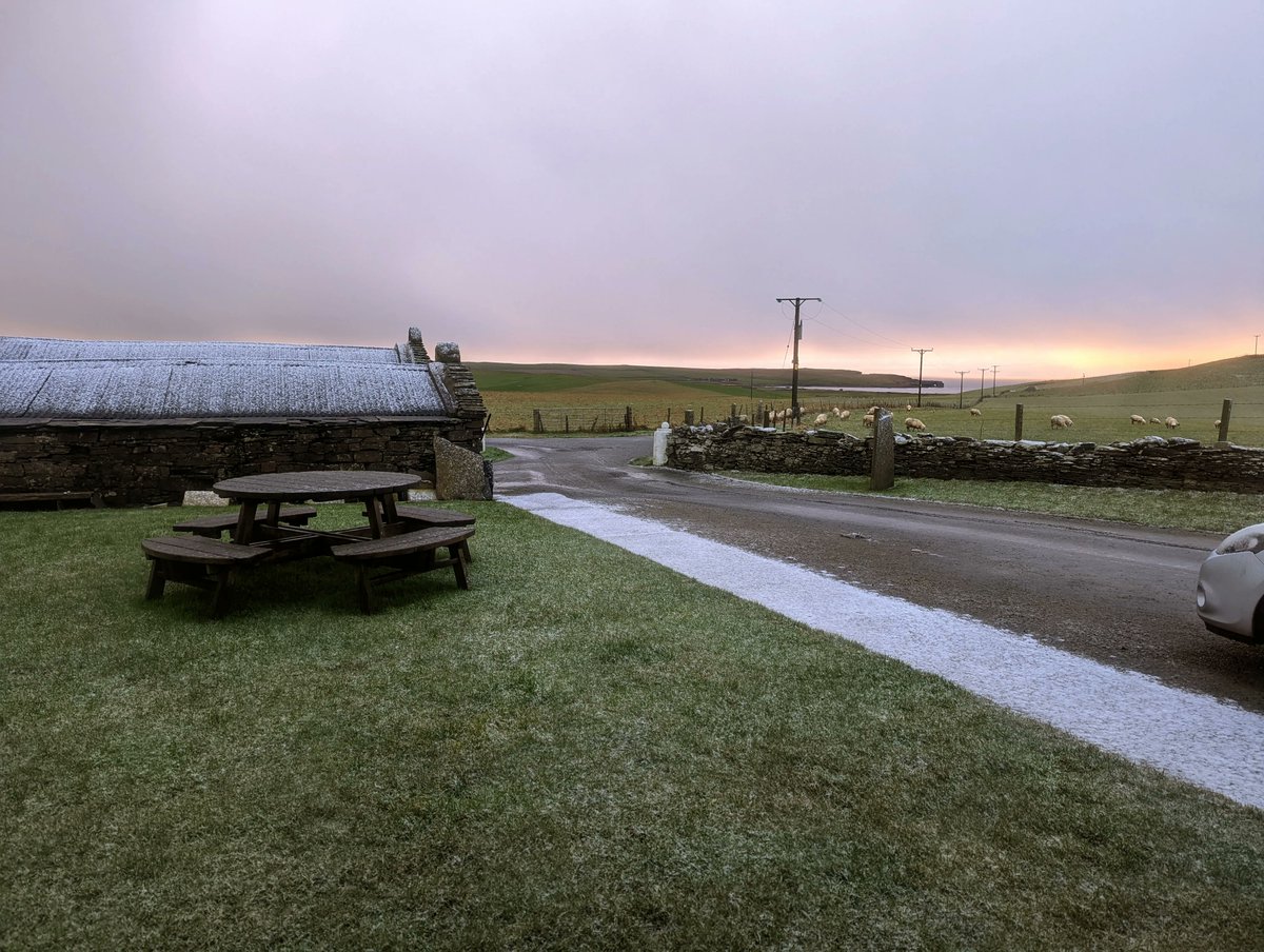 LinklaterVoice's tweet photo. It's a right bonny day in Quoyloo today! https://t.co/aXXaNCpWEp