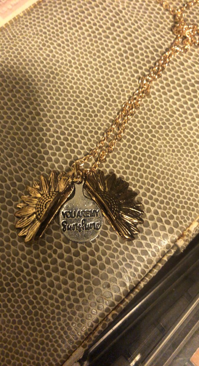 Trinity_Dobbs's tweet photo. #adventcalendar #day11 #Luke11 #necklace #sunshine https://t.co/aBQfxu6BST