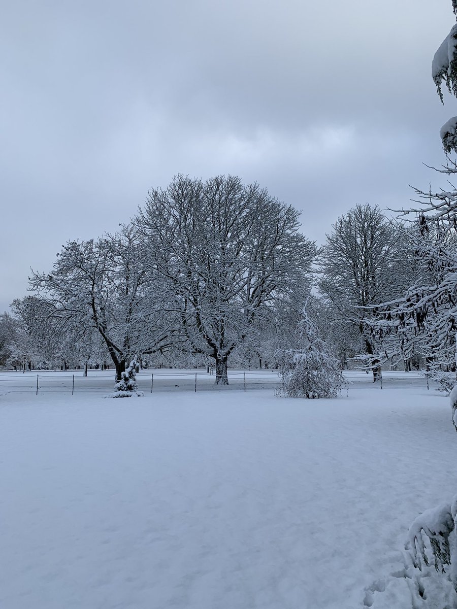 Valentines Mansion & Gardens tweet media