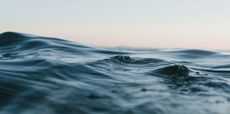Sea_and_Society's tweet photo. Forskningsprogrammet Co-Creating Better Blue, där @goteborgsuni är huvudsökande, får 50 miljoner från Mistras utlysning "En hållbar blå ekonomi för Sverige".
"Roligt att Mistra väljer att prioritera samskapande" säger programchef Torsten Linders.
https://t.co/1yGkHpCCf3 https://t.co/oiFXSpvYoC