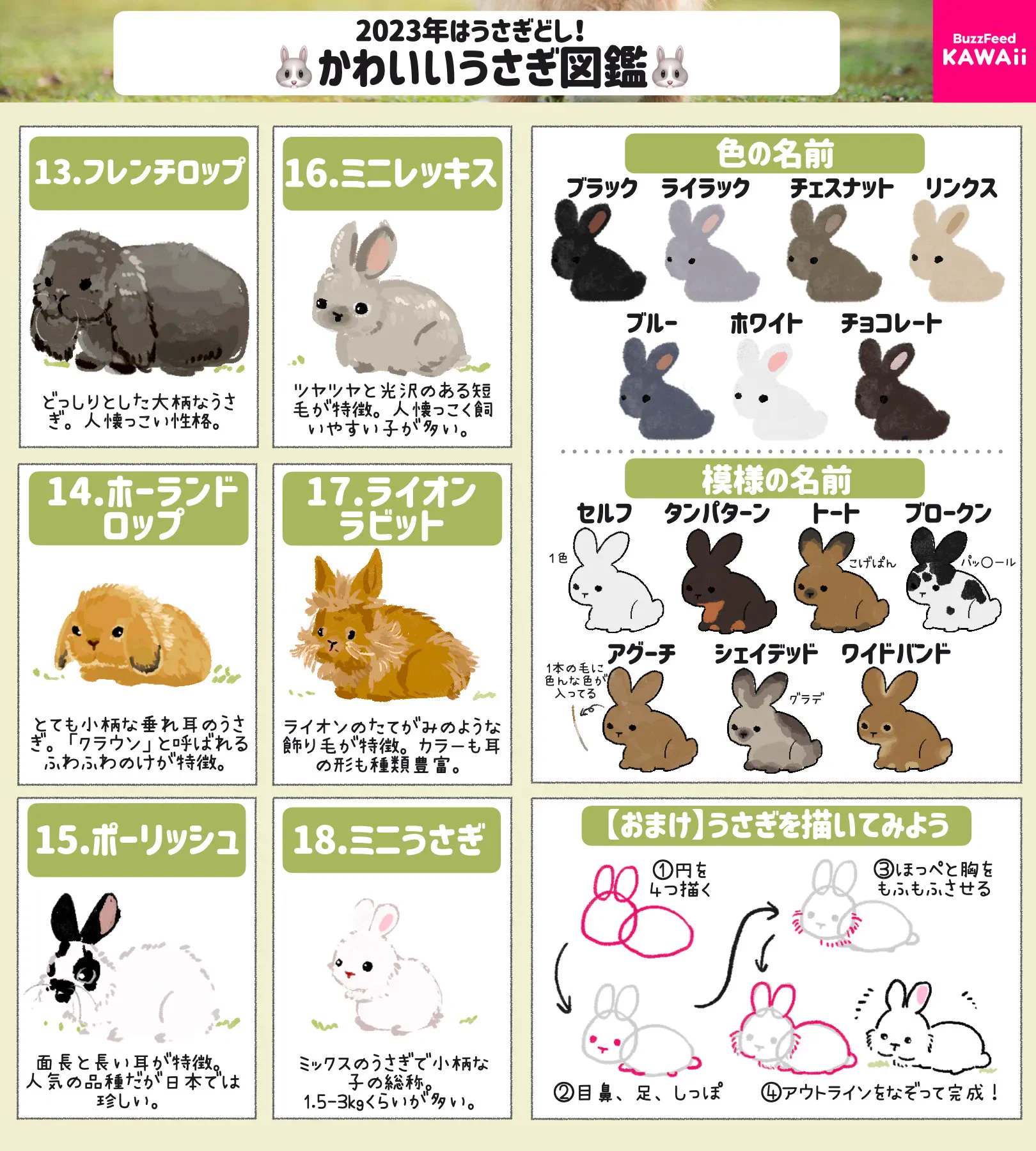 うさぎ好きさん必見！いろいろなうさぎを可愛いイラスト付きでまとめて紹介したツイートが話題に！