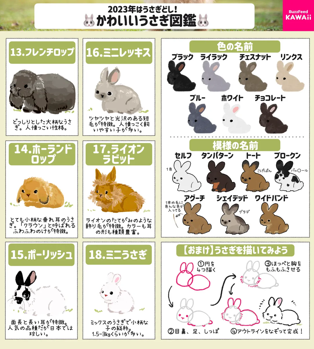 BuzzFeed🎋Kawaii on X: 