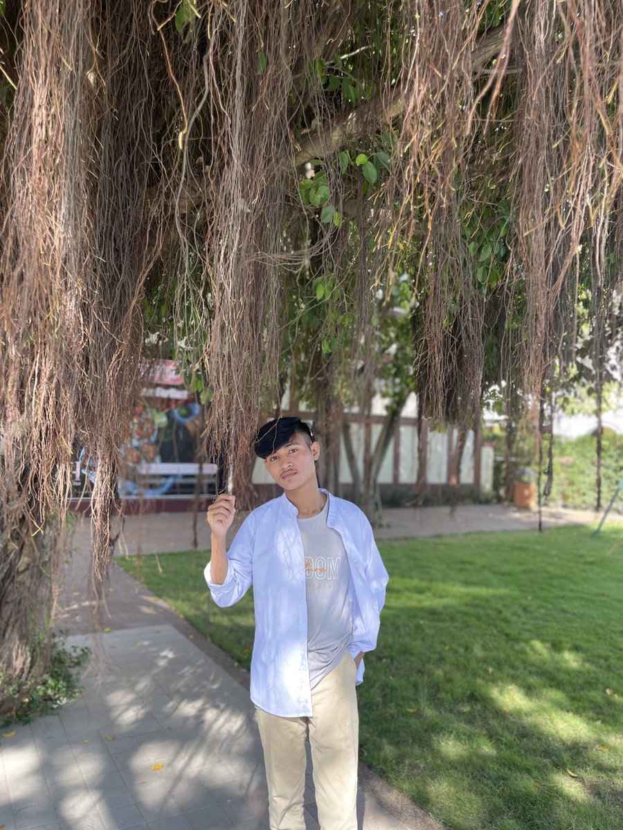 Alex San៚ tweet media