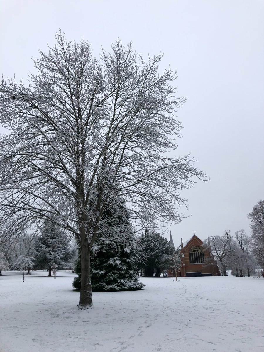 Epsom College tweet media