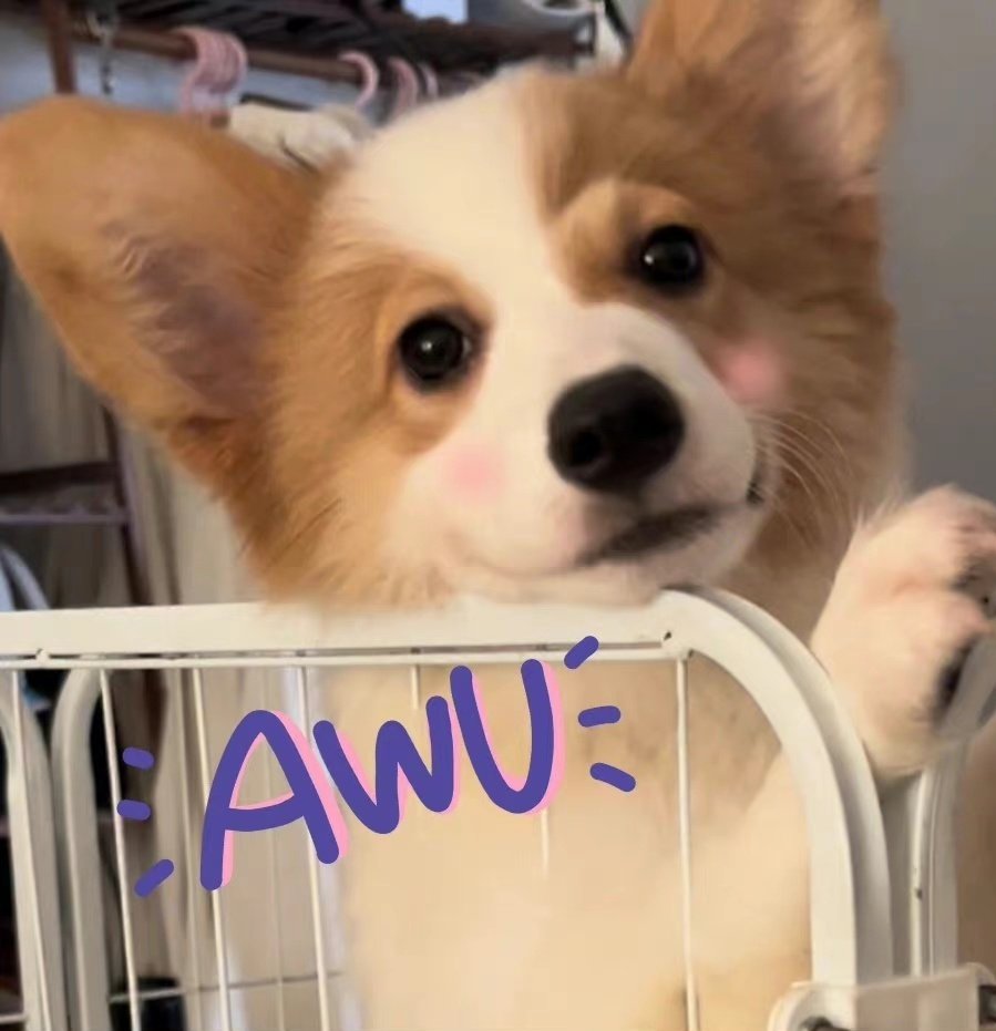 #LUCAS #루카스 #黄旭熙 #ルーカス