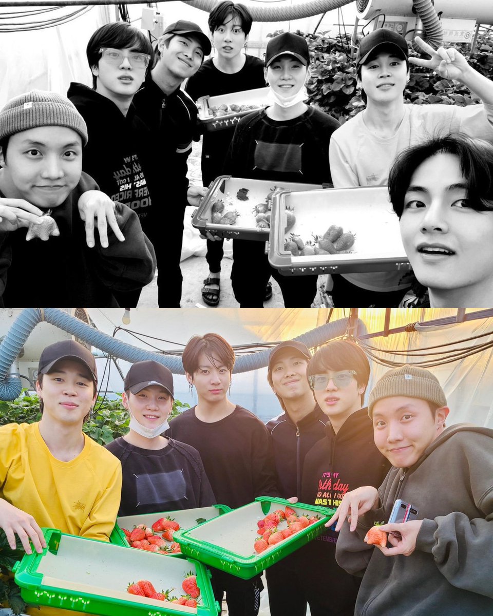 when bts visited seokjin's uncle strawberry farm 🥺