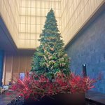 ツイートに含まれる画像