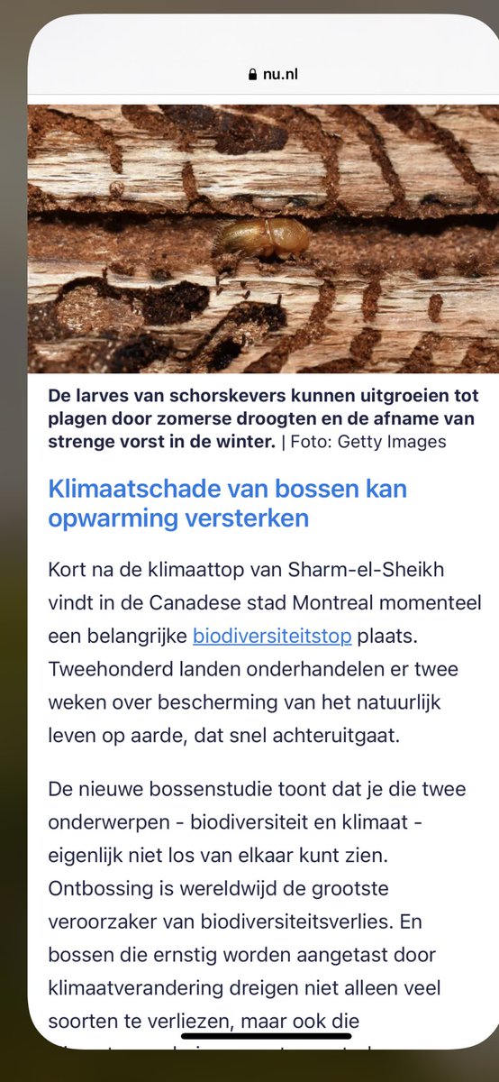 Nieuwe #bossenstudie toont dat je  #biodiversiteit en #klimaat niet los van elkaar kunt zien. ‘#Ontbossing is wereldwijd de grootste veroorzaker van biodiversiteitsverlies’
#Biomassa tel uit je ‘duurzame’ zegeningen Brussel..
⁦@TimmermansEU⁩ ⁦<a href="/RobJetten/">Rob Jetten</a>⁩