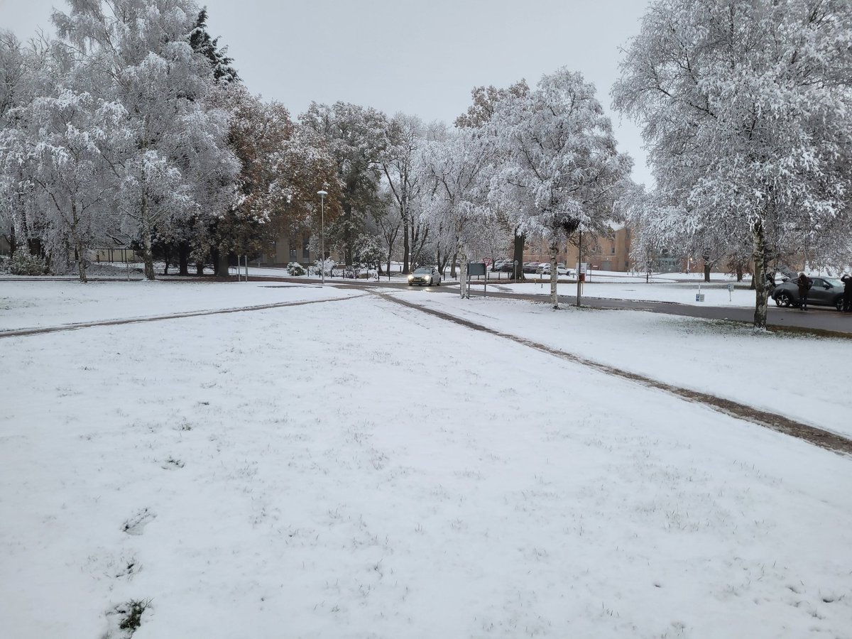 Dan Tasker tweet media