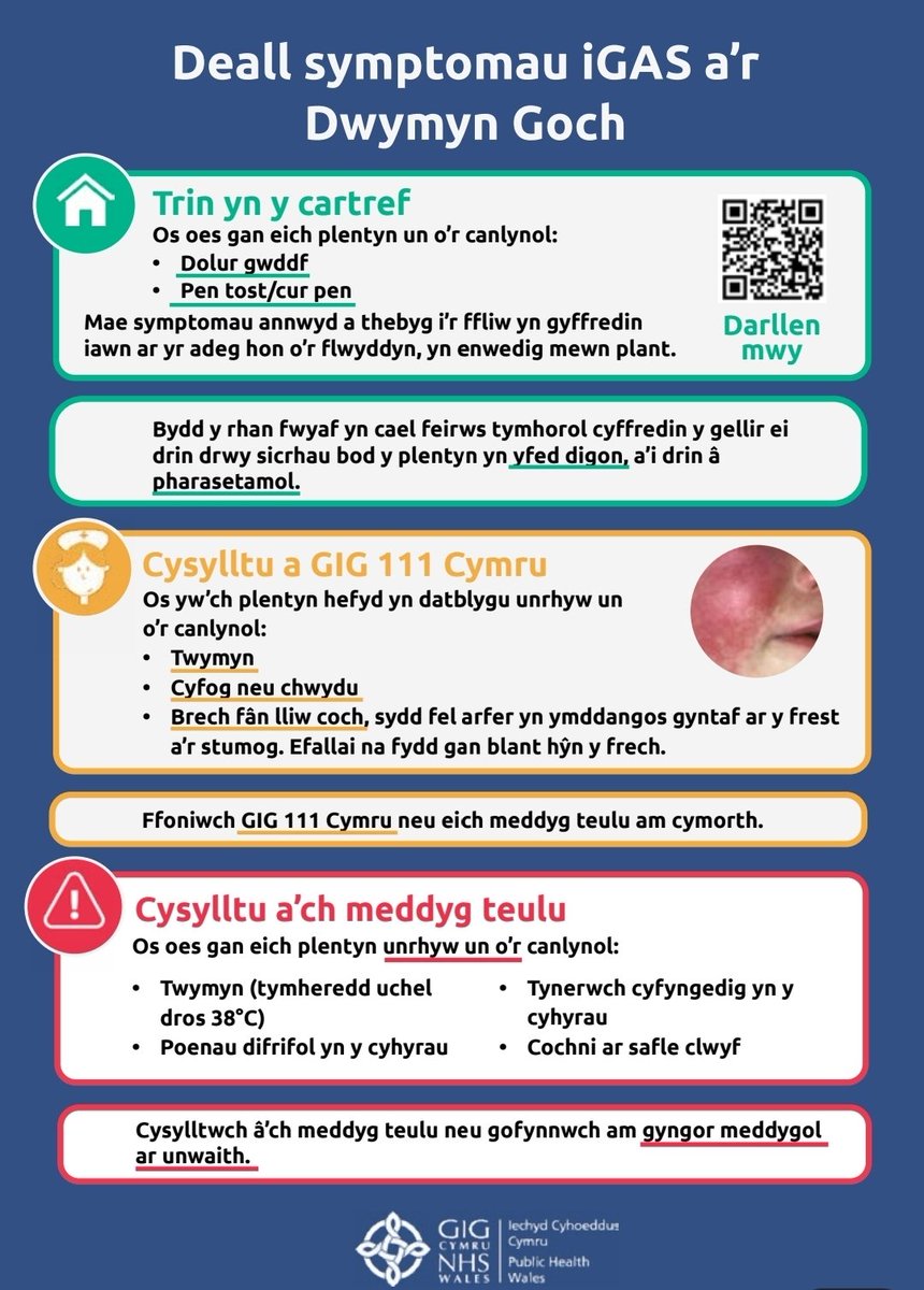 Cyngor i Rieni/Gofalwyr - Advice to Parents/Carers - Strep A &amp; Scarlet Fever