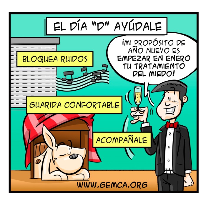 Gemca_Avepa's tweet photo. La actitud de los tutores es primordial a la hora de tratar los miedos a los ruidos en los perros. En nuestra web recopilamos algunas de las formas que tenemos para ayudarles: https://t.co/jiff1lEyh0 https://t.co/ctFkiMKcCf
