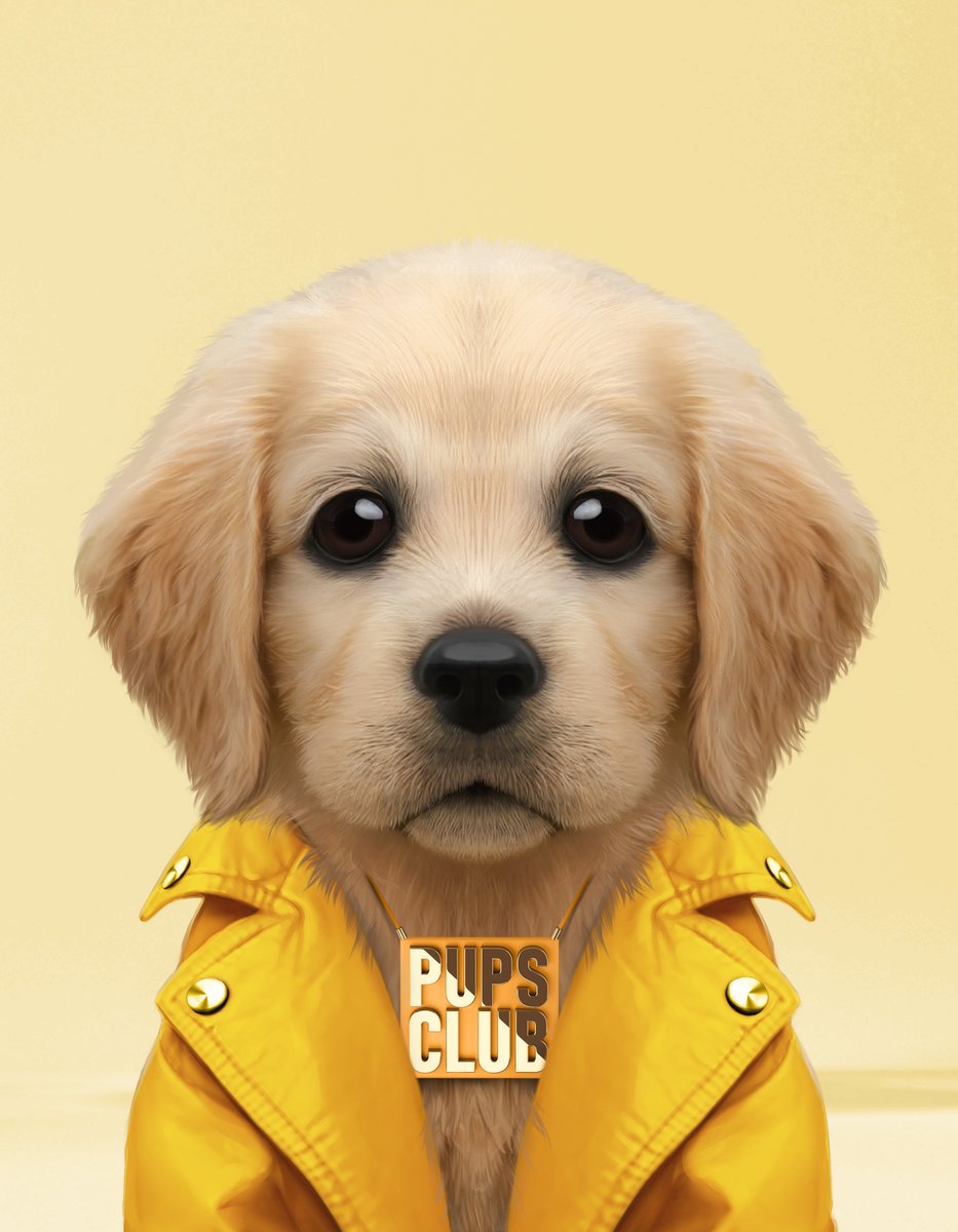 0xCabana's tweet photo. ✅Alpha Thread: @pupsclub

The pet industry is a billion $$ industry with loads of prospects🎯

One of the top NFT projects to watch in 2023 is @pupsclub🚨

→ Let's investigate the buzz and the potential of the project 🚀

A Thread 🧵
Like &amp; RT For Others https://t.co/MciLRFUoW9
