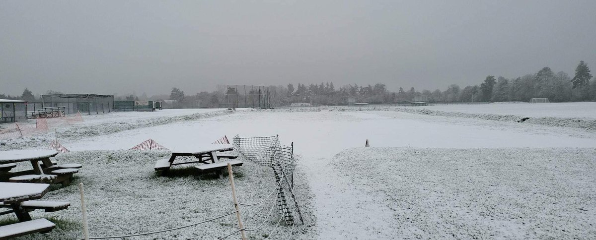 Liz Knight 🥎 tweet media