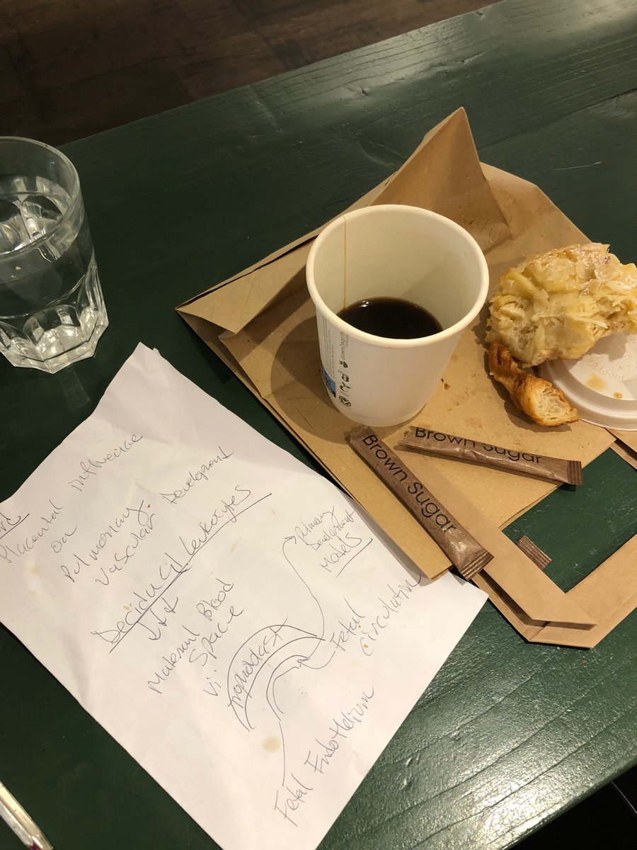 Despite ever advancing technology, I still find timeless value in sketching out scientific  ideas on paper  (good coffee/pastries required of course).  Best wishes to all on winter projects and grants!