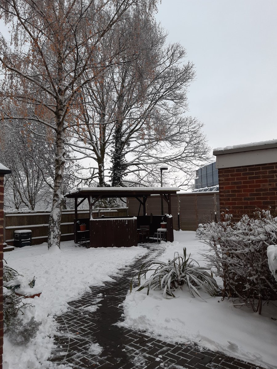 Haven First tweet media