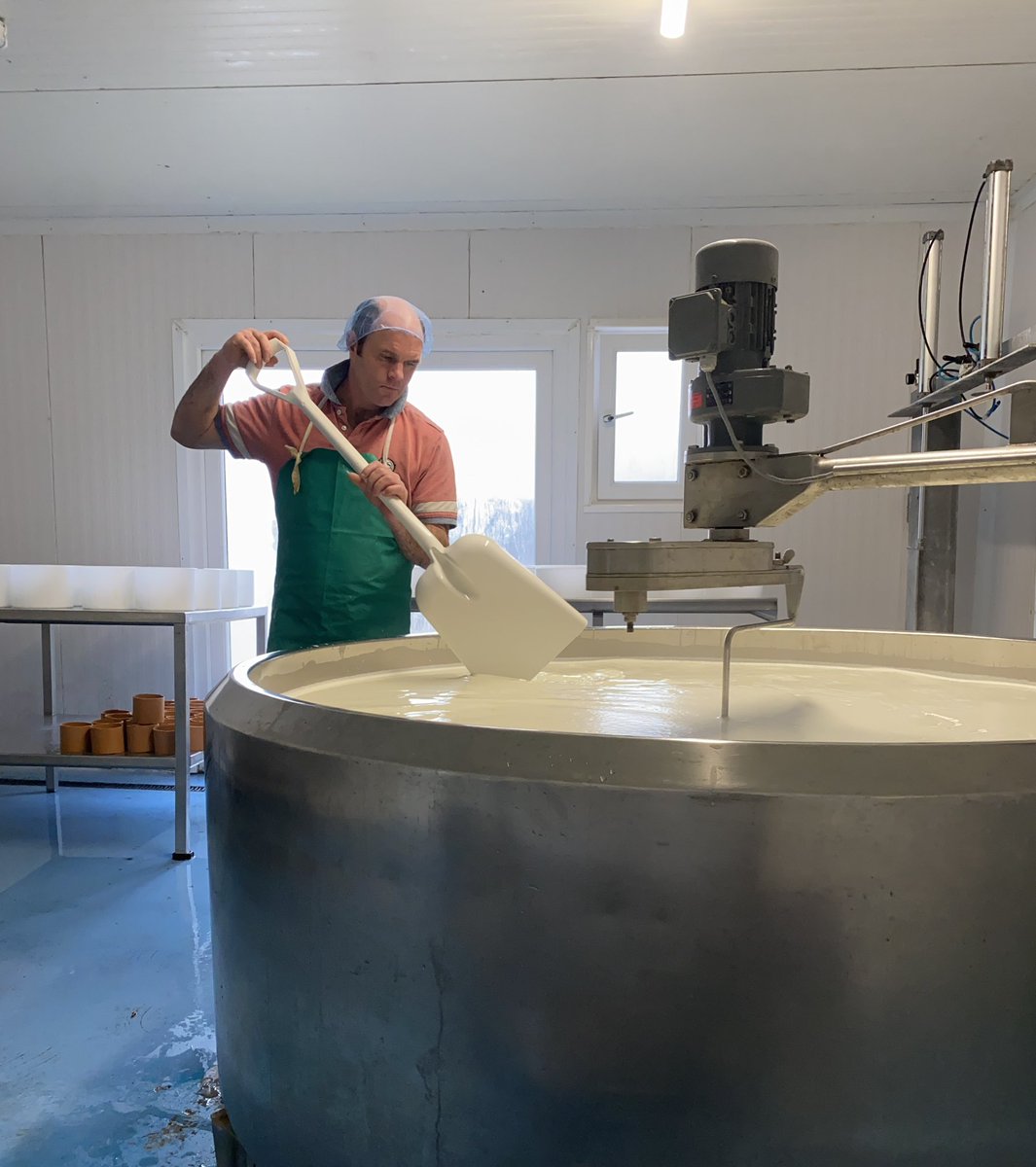 Very happy to be making cheese today in our hot steamy cheesemaking room ! 
#irishfarmhousecheese #goatscheese #irishfood #frostymorning #ireland