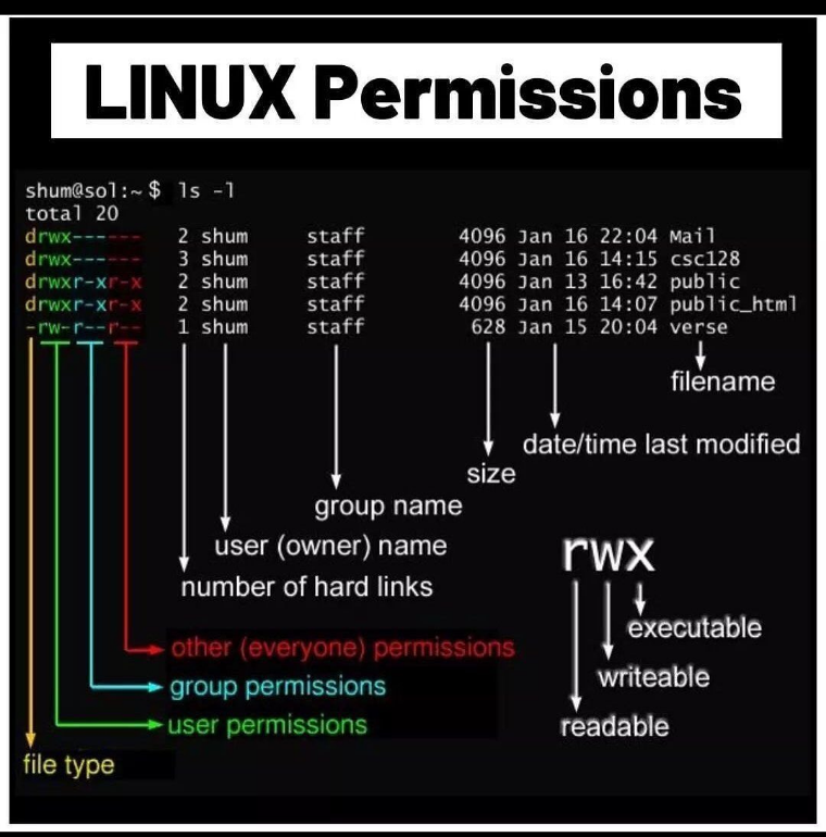 dunicot's tweet photo. Linux permissions 
#linux #permissons #coding #hacking #webdeveloper #cybersecurity #security https://t.co/87nTh6pF7o https://t.co/cnJYw3ZkC8