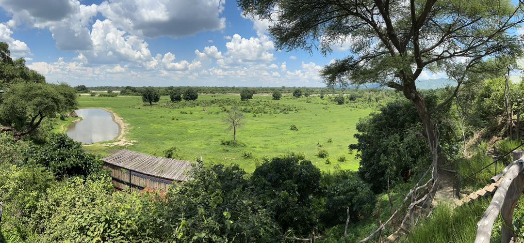 The view from camp today - the green season is so pretty! 😍🇿🇼🌱
📸: Clyde Elgar
#kavingasafaricamp #wildzambezi #greenseason #wetseason #timeout