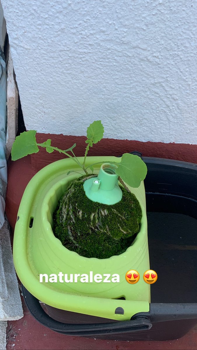 gatikosobesos's tweet image. resume piso de estudiantes: