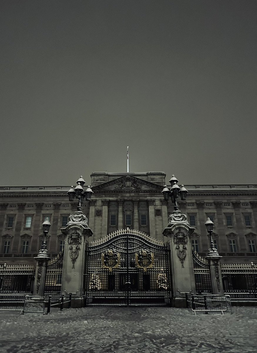 Buckingham Palace + Snow = 🤩
#uksnow #londonsnow