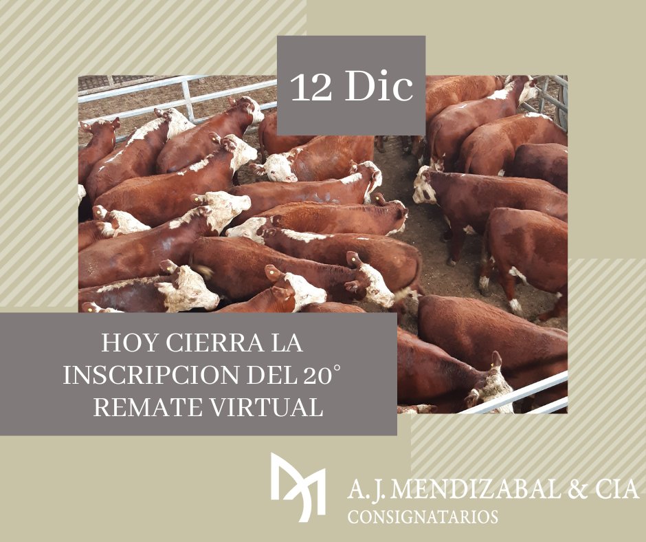 ajmendizabal's tweet photo. Hoy cierra la inscripción al 20º 𝗥𝗘𝗠𝗔𝗧𝗘 𝗩𝗜𝗥𝗧𝗨𝗔𝗟 INVERNADA &amp; CRÍA.
El último del 2022!
🗓 miércoles 14 de diciembre – 15 hs
📍 https://t.co/tzxqDLkQRJ 
🐮 Anote su consignación.
haciendas@ajmendizabal.com.ar
#hacienda #Consignataria https://t.co/OMeZMTfW0C