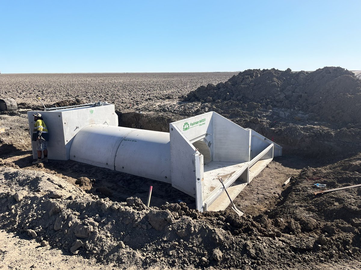 Shawn Padman tweet media