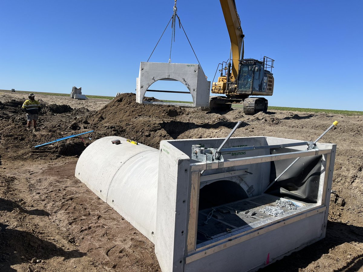 Shawn Padman tweet media