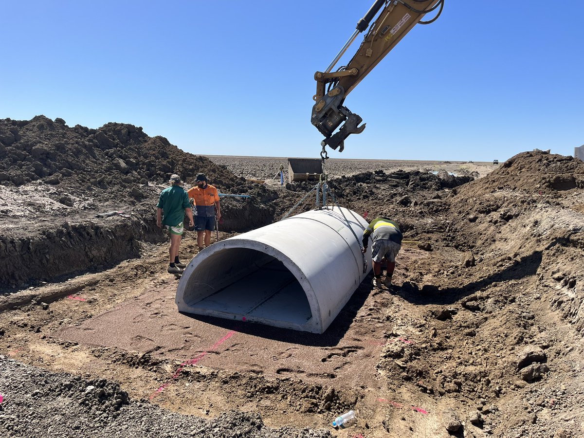 Shawn Padman tweet media