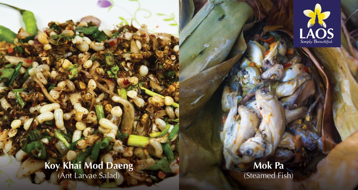 Try something new while you're in Laos.
Lao cuisine has some of the most unique dishes that you must try to fully appreciate the country. 

#laossimplybeautiful #unseenlaos #visitsoutheastasia
#ລາວທ່ຽວລາວ #travel #laos #explorelaos