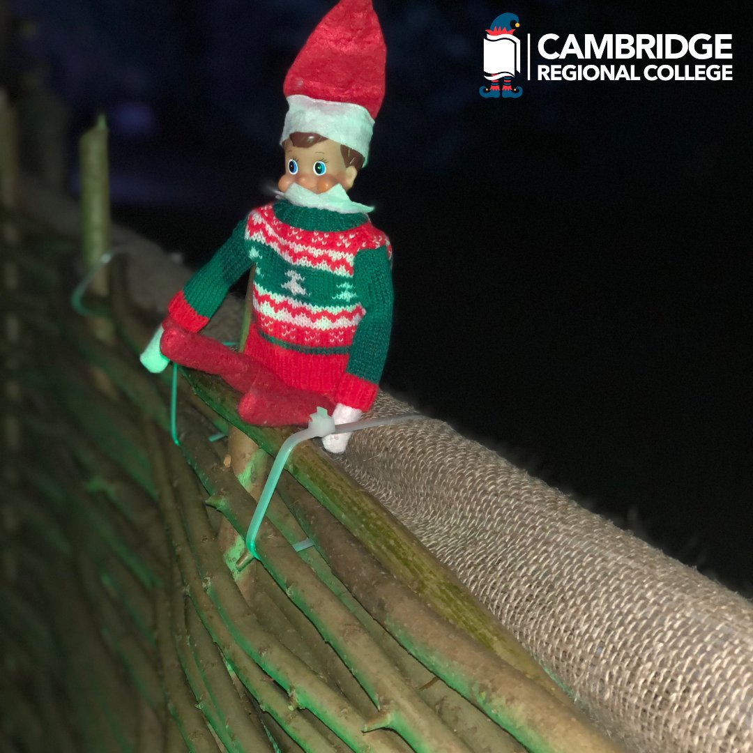 CRC_College's tweet photo. CRC's Green Team have been busy at @AngleseyAbbeyNT over the last few weeks, helping the team prepare for the Winter Lights. Thursday, Elfis went to the preview evening with Andrew, our Green Team leader and Kate, our Vice Principal to see their great work!
#HelpingNatureThrive https://t.co/ttVRA84W6R