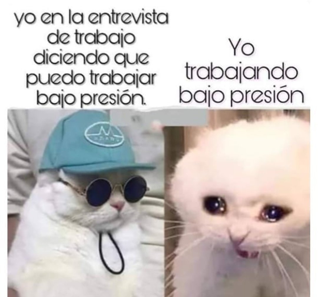 Soy Camarero (@soycamarero) on Twitter photo 