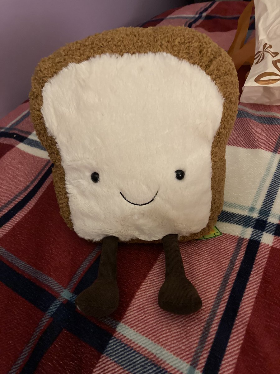 MidnightAmz's tweet photo. Still can't stop thinking about Joseph Quinn's Bread Plushie that I gave him. Hopefully it's keeping him warm and cozy in this cold snap! #BreadKing #JosephQuinn https://t.co/a3Rchsw5Zv