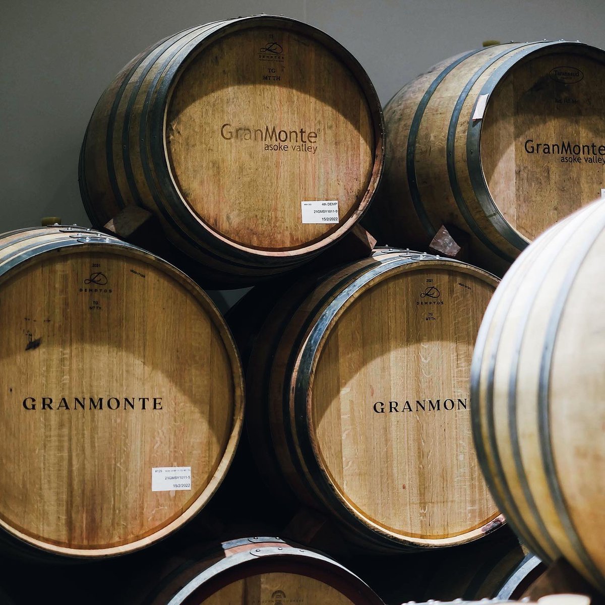 OdetoJourney's tweet photo. WINTER IN THE VINEYARD | ทัวร์ไร่องุ่นและไวน์เนอรี่ท่ามกลางบรรยากาศดีๆที่เขาใหญ่ 🍇
📍 GranMonte Vineyard and Winery
#GranMonteVineyardandWinery #GranMonte #Khaoyai #ไร่องุ่น #ไร่กรานมอนเต้ #ไร่องุ่นเขาใหญ่ #เขาใหญ่ #ที่เที่ยวเขาใหญ่ https://t.co/0rvzNsfPbo