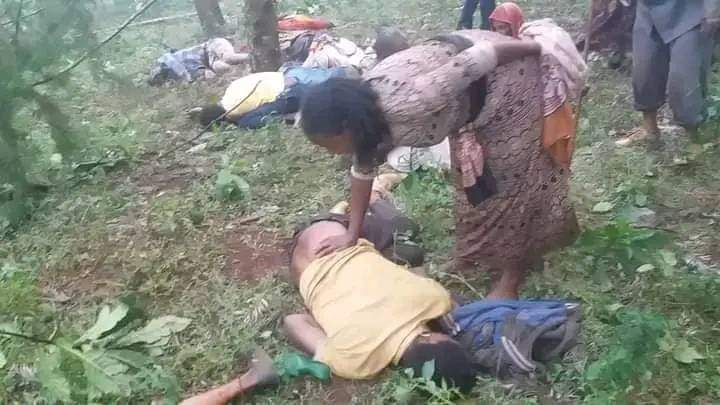 ሁሉም የአለም ዋንጫ ይተነትናል እኝኸን እናቶችስ ማን ይስማቸው ልጆቻቸውን በአንድ ጊዜ አጥተው የወላድ መካን የሆኑ  ብርሃን የጨለመባቸው #ወለጋ😥😥😥