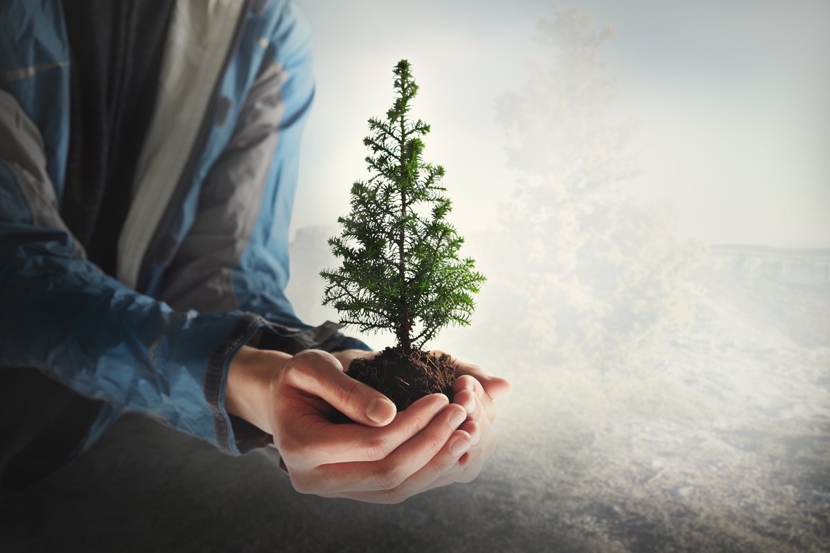 #Reminder: there’s only a week and a bit to go until Christmas! So make sure you’re more than ready to get into the #ChristmasSpirit by double checking our laboratory and courier arrangements for the festive period here: cawood.co.uk/christmas-new-…