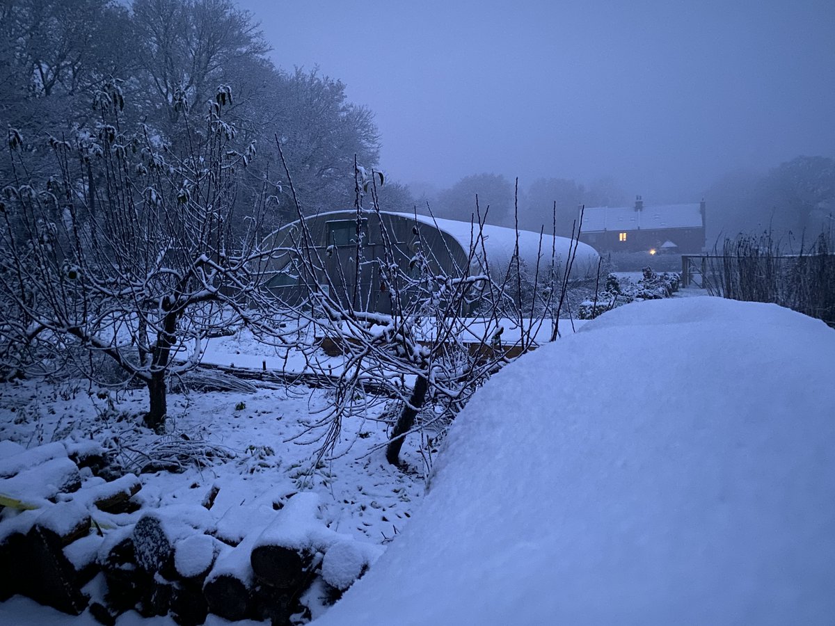 Veterans' Growth tweet media