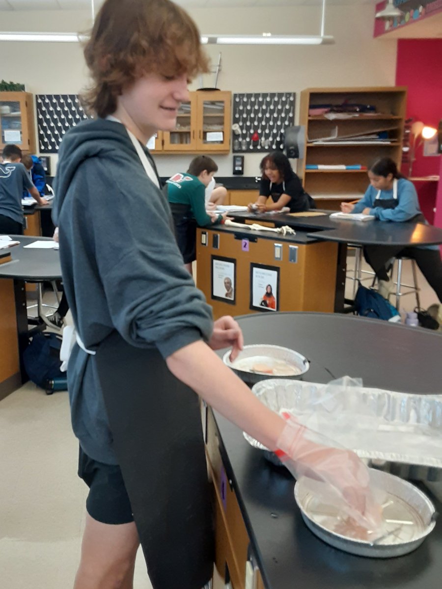 ChristiLittlef2's tweet photo. Wrapping up our skeletal system learning with a bone lab! Students were able to explore different layers, components and functions of bones. They loved it! #absracttoconcrete @TimberviewMS @CCRRoanoke https://t.co/d1o8cQSvt5