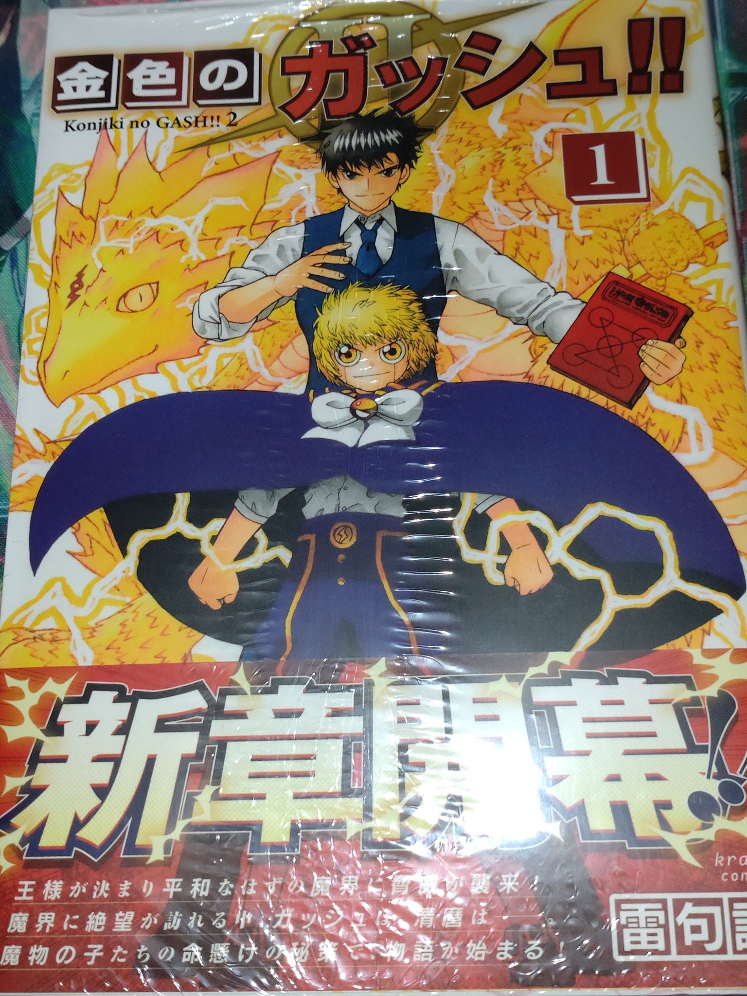 金色のガッシュベル 雷句誠 直筆サイン 激レア