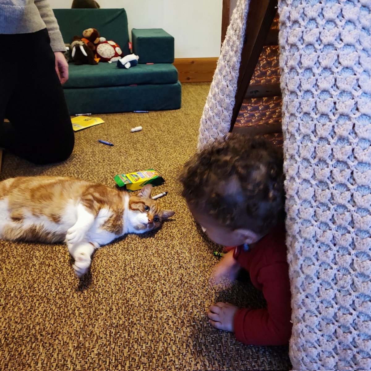 Free to Learn Childminding tweet media